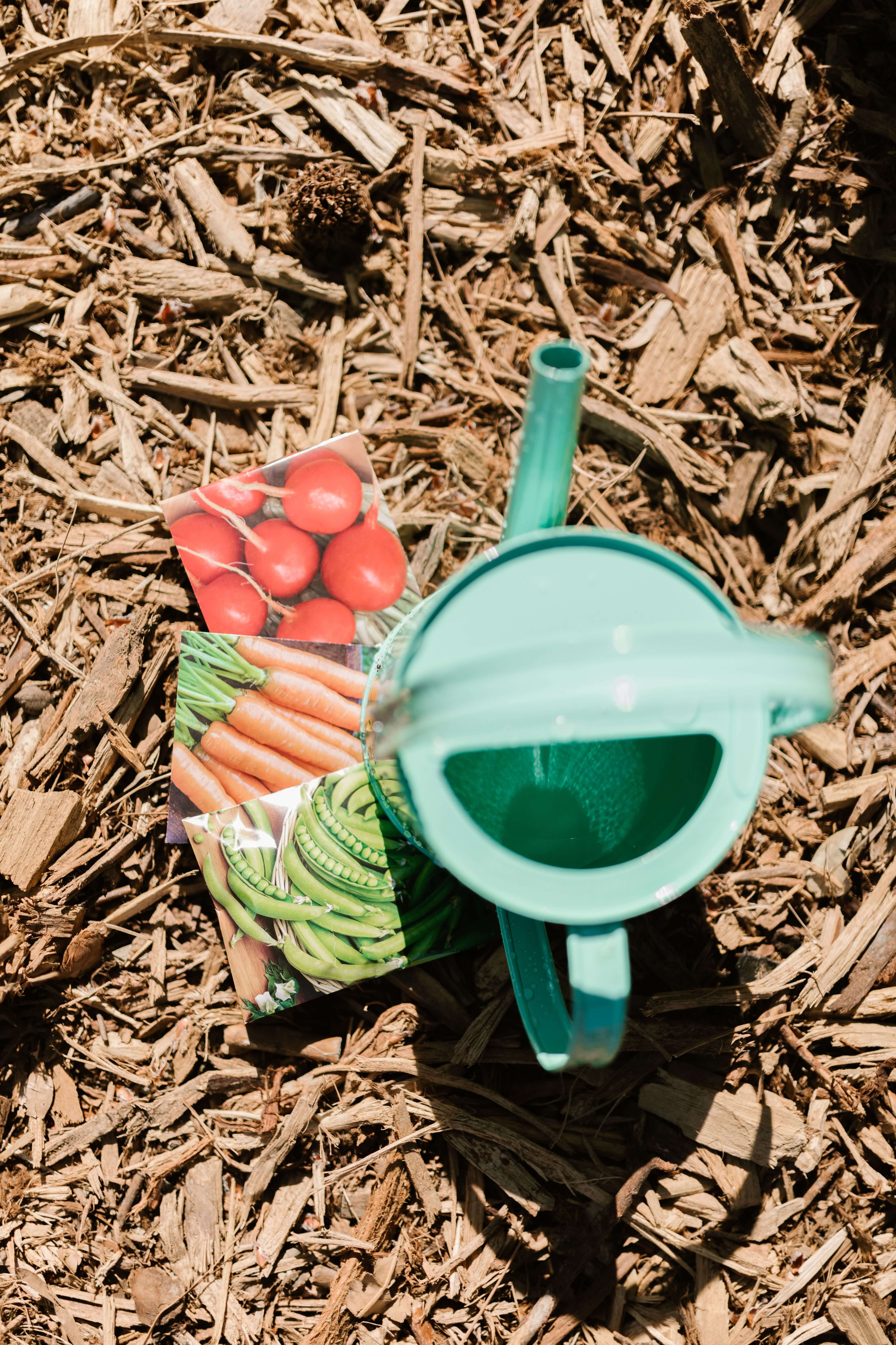 Kinderen spelen in de tuin van Baby Boom